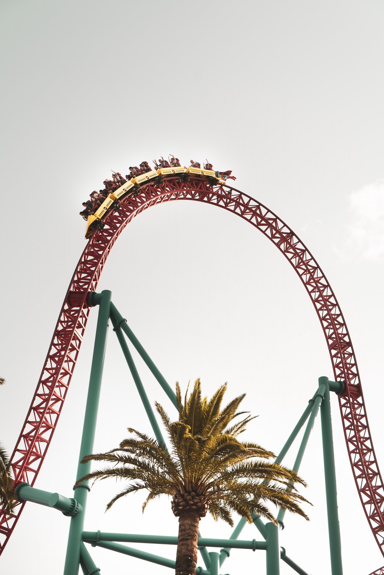 7 Surprising Ways To Avoid Motion Sickness at Amusement Parks